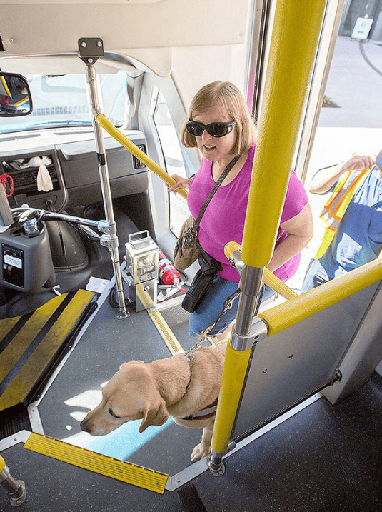 Woman wearing sunglasses entering the bus
