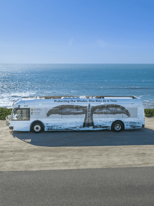 One Ride at a Time bus with whale on it parked at the beach overlooking the ocean