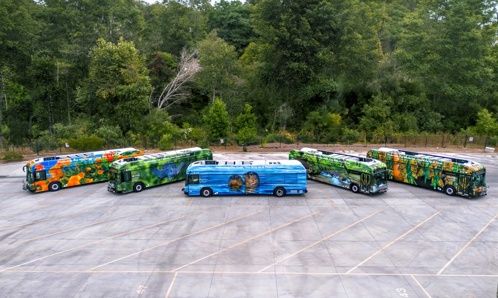 5 of the ORAT electric buses parked in bus yard