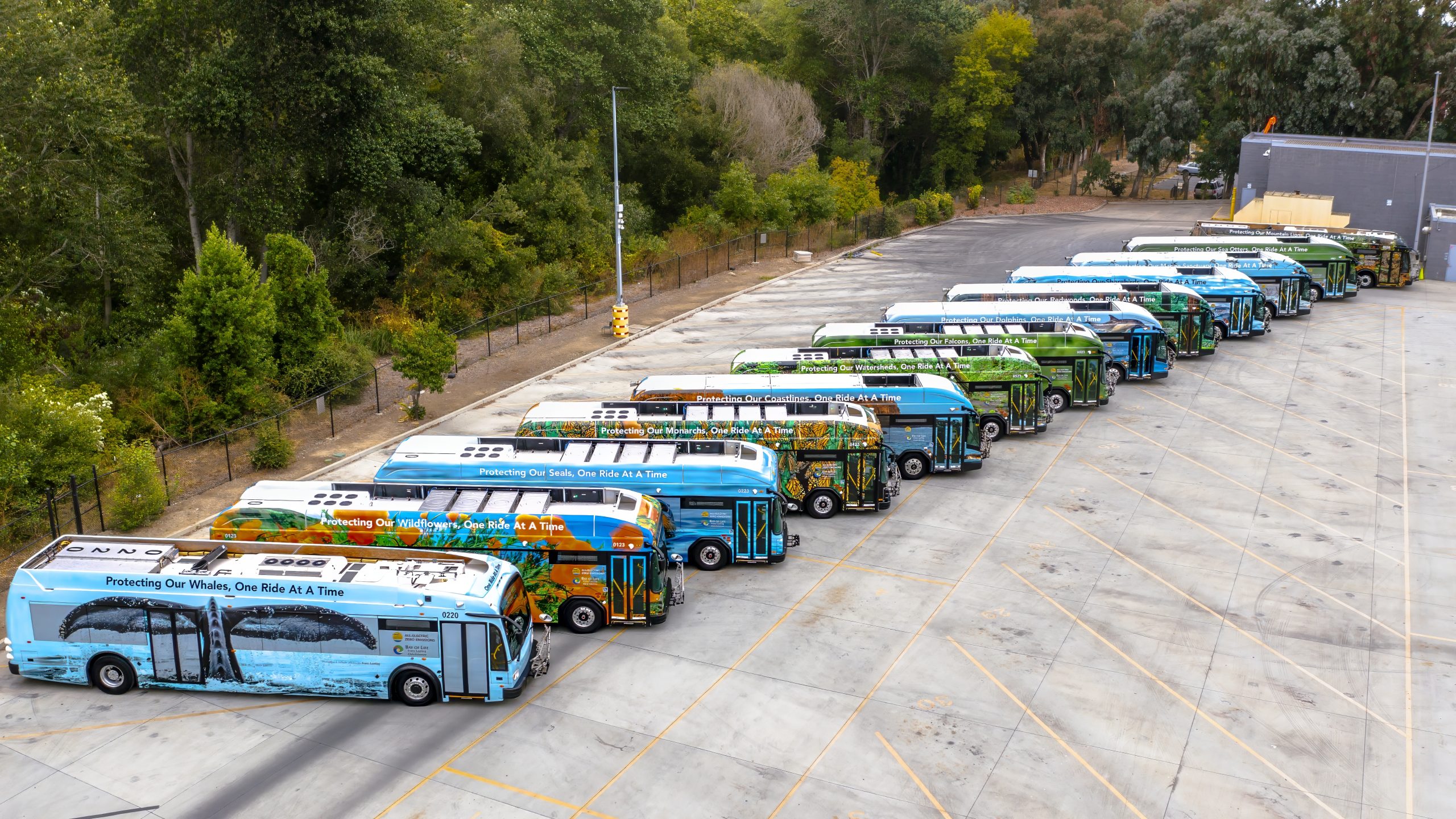 SC Metro One Ride at a Time fleet arial view