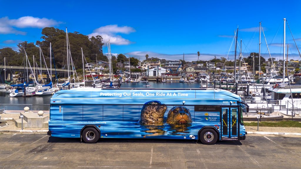 One Ride at a Time bus with seales on it parked in front of harbor with boats in the background