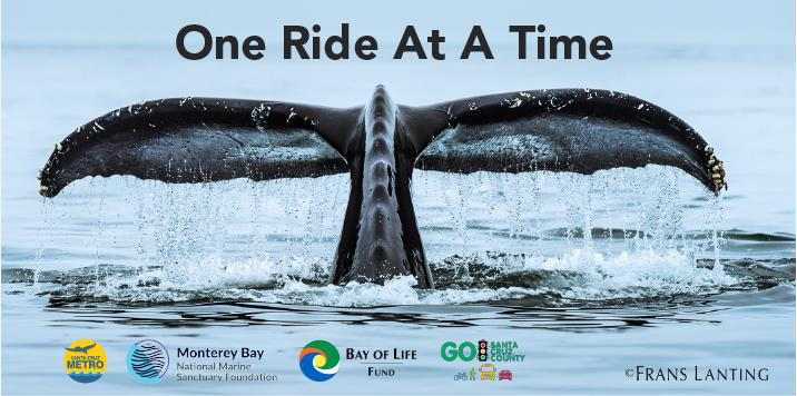 One Ride at a Time banner with whale tail coming out of the water
