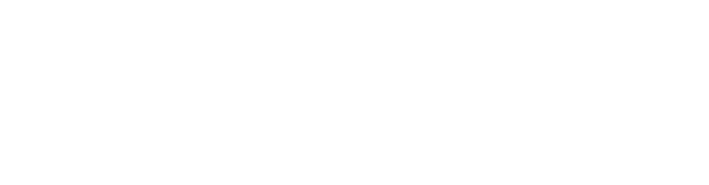 Secondary Logo White - PNG