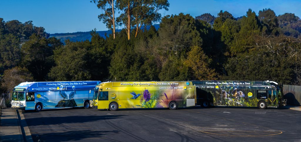 3 buses with image wraps